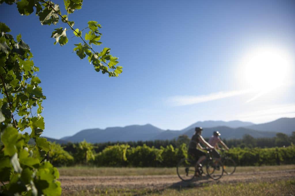 Murray to Mountains cycling