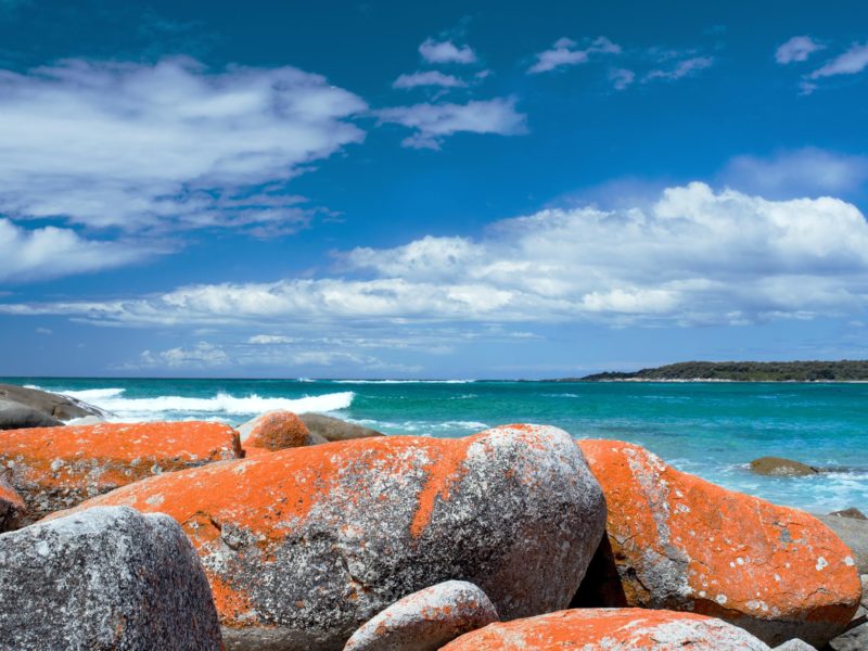 Cycling tours in Tasmania