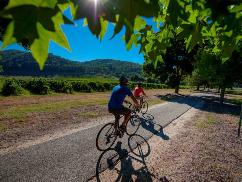 Tour De Vines Australia Tourism Victoria Murray To Mountains Rail Trail