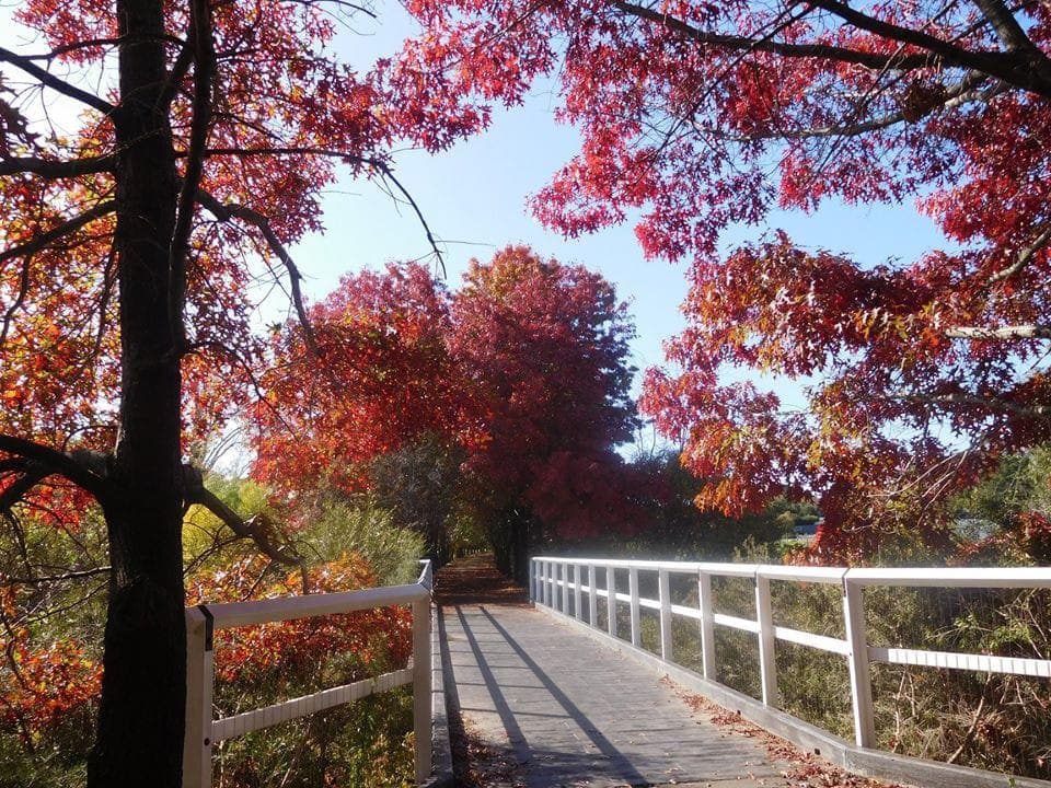 Best Bike tour in Victoria