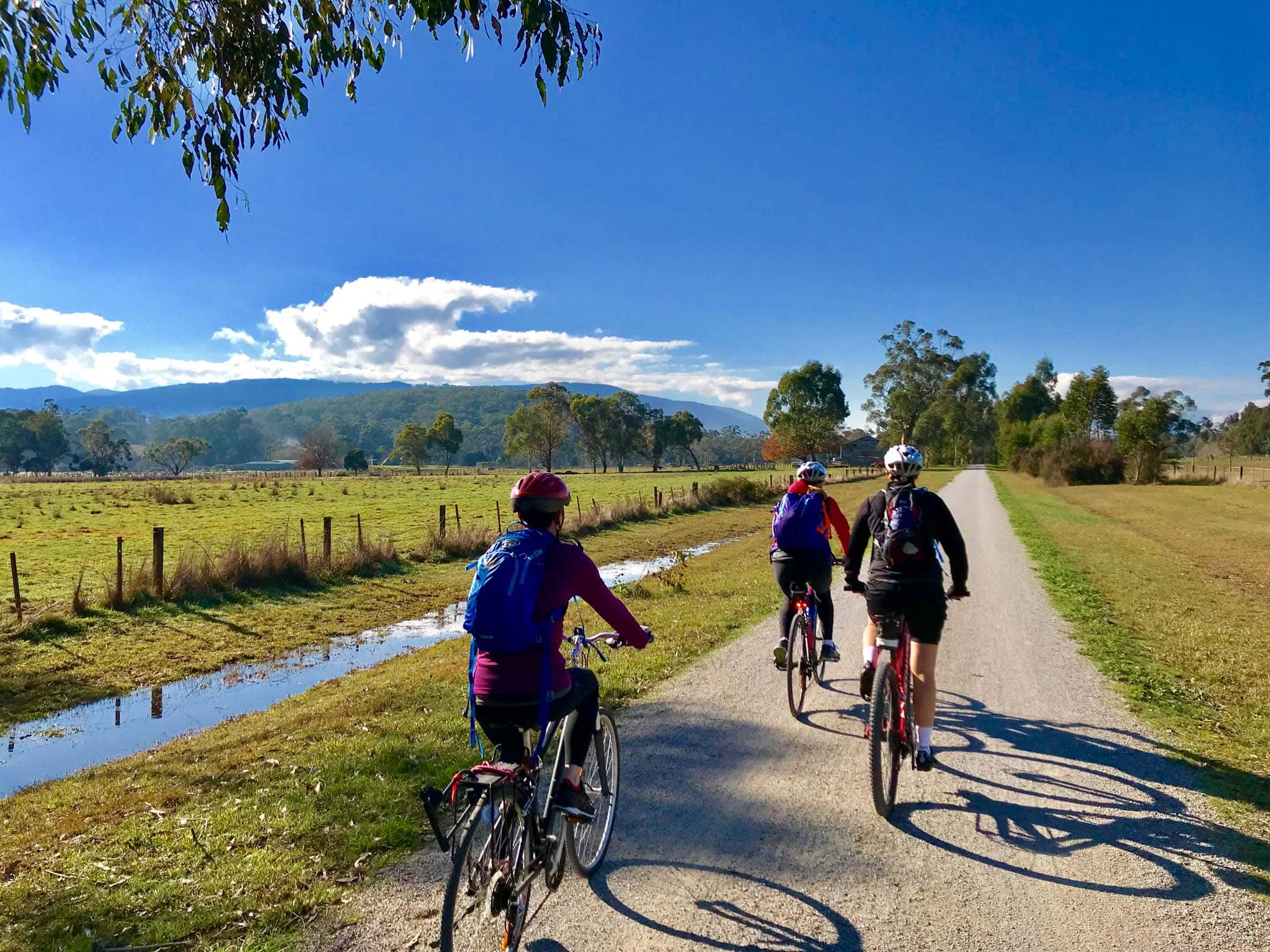 Best Bike tour in Victoria