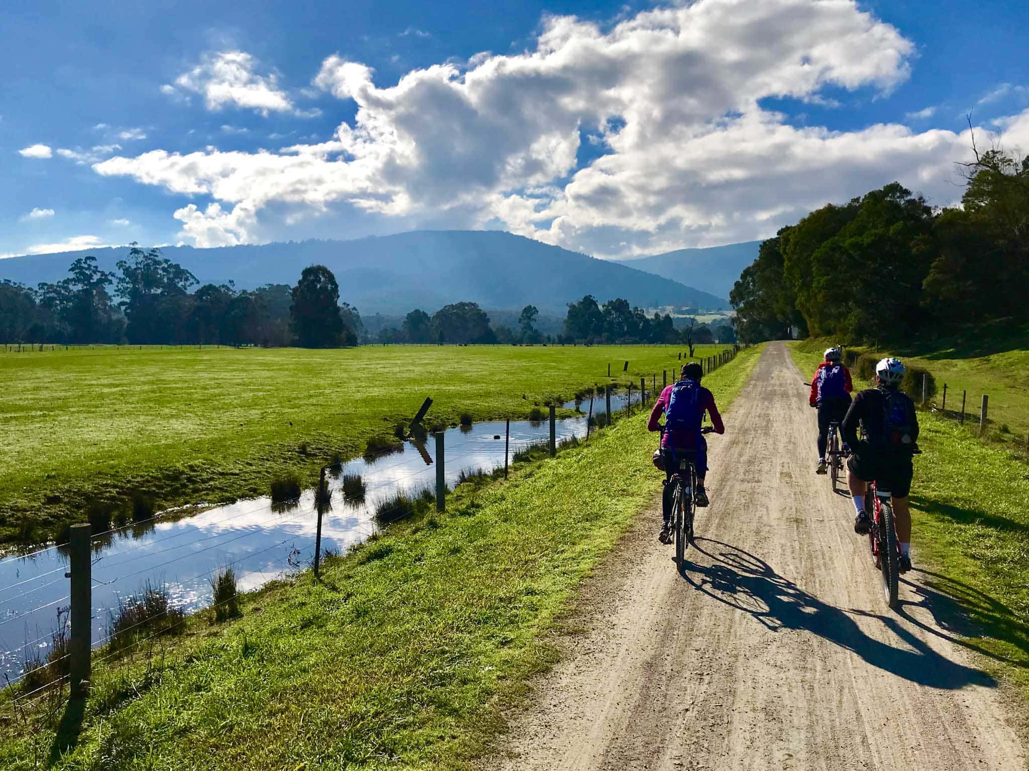 Cycling tours Victoria