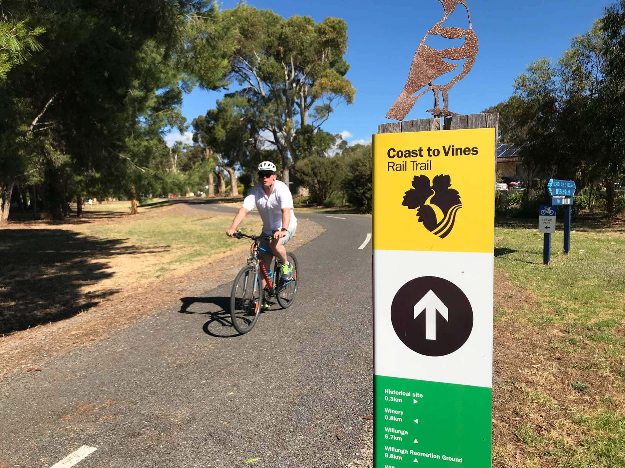Riding the Shiraz Trail McLaren Vale