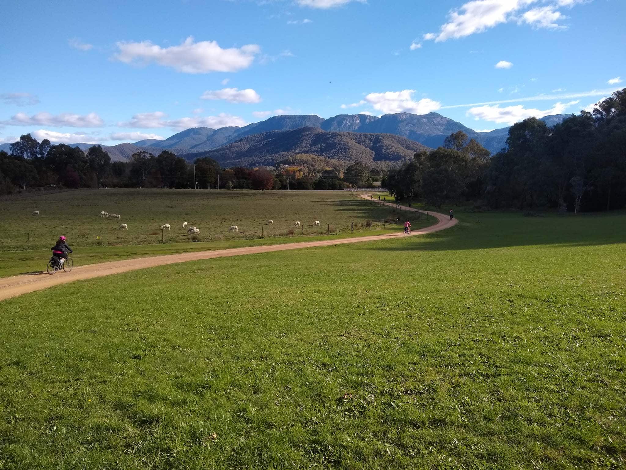 Murray to Mountains Rail Trail tour