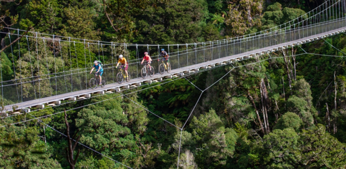 best bike rides nz tall timber trail