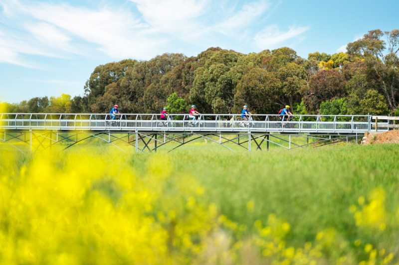 Tour De Vines cycling tours Australia
