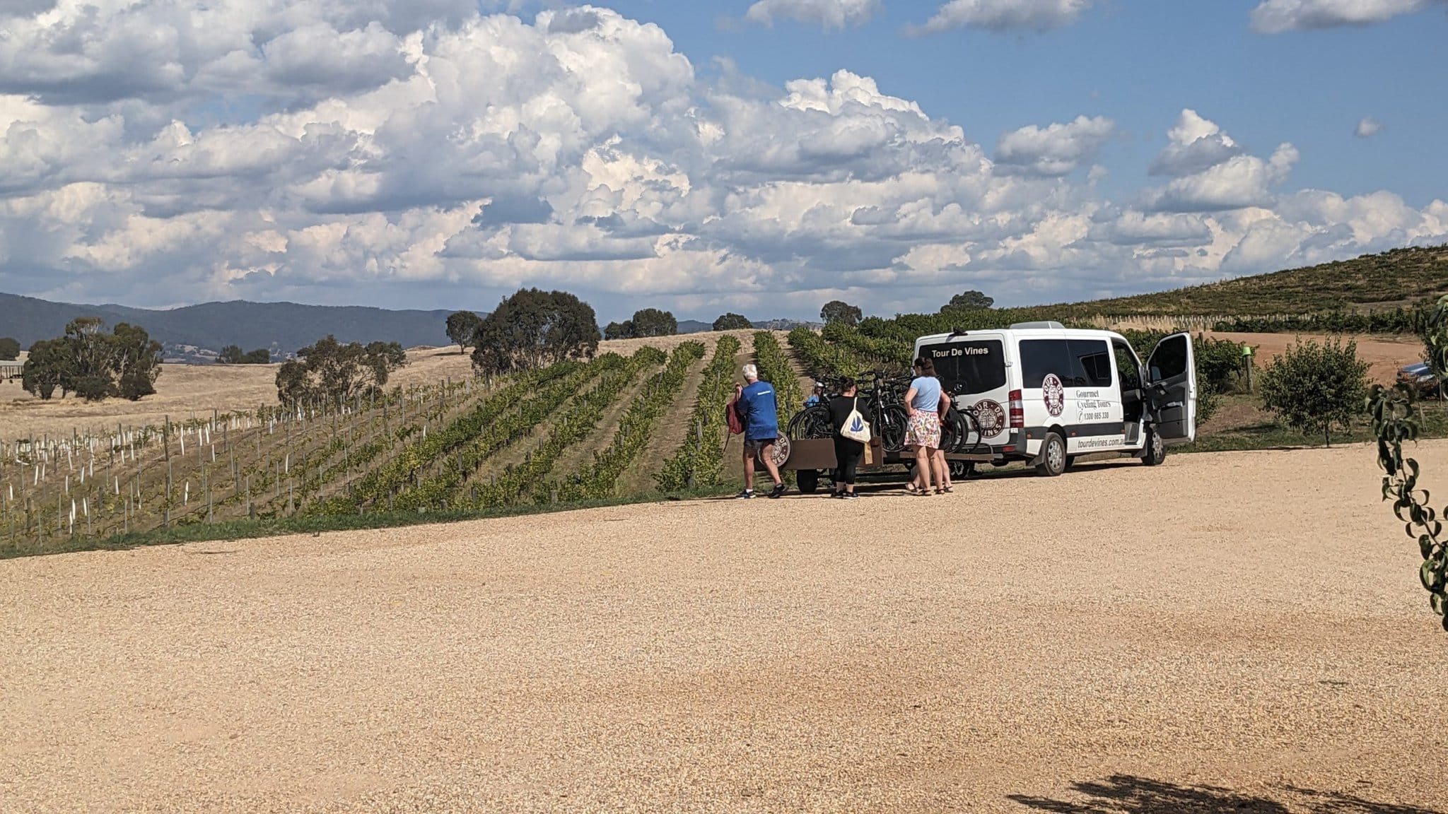 Views at Delatite Winery in Mansfield on Great Victorian Rail Trail tour