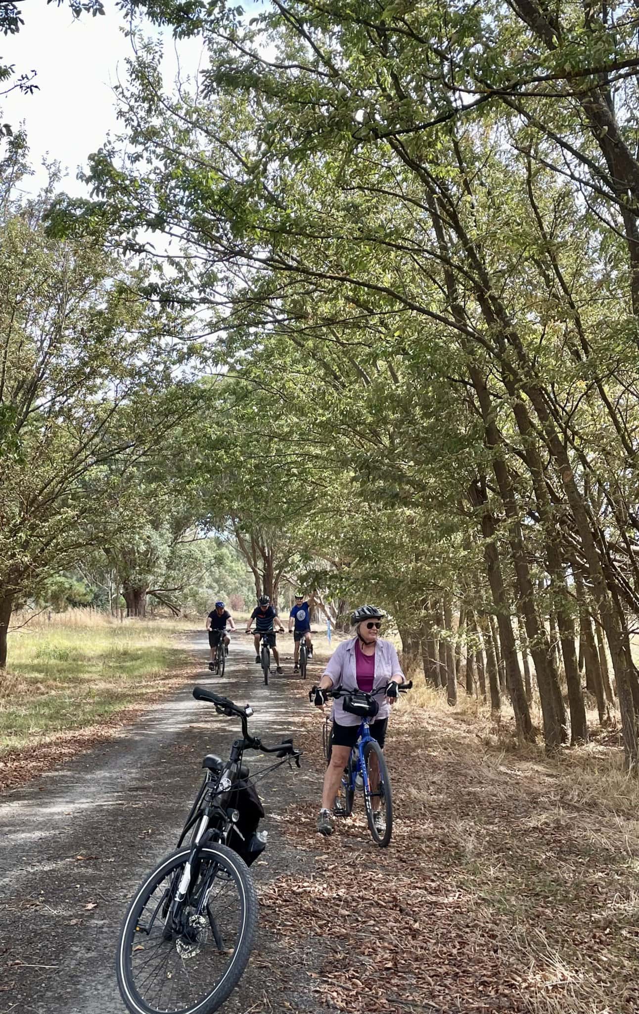 Cycling the Great Victorian Rail Trail