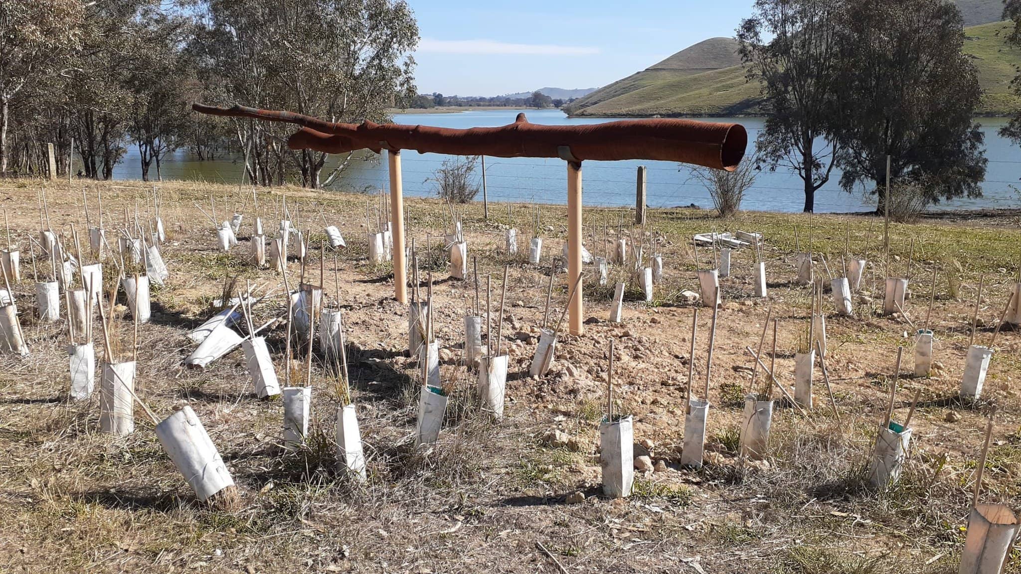 Art of the Great Victorian Rail Trail