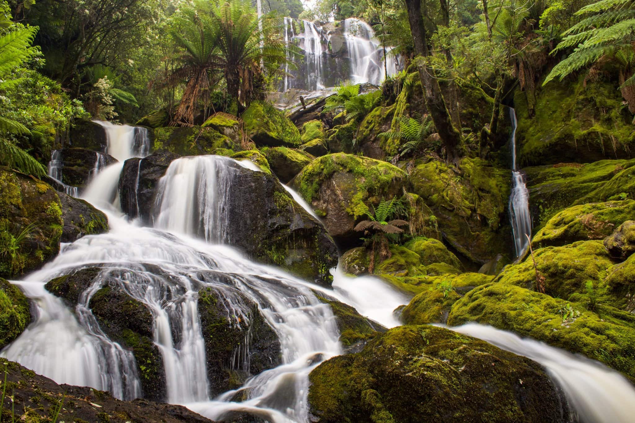 st columba falls tasmania