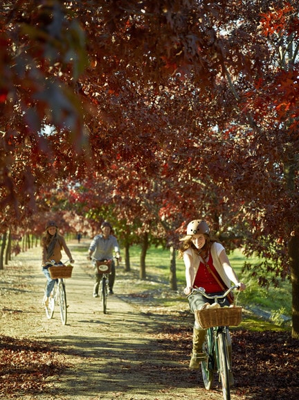 Pedal to Produce - Victoria's High Country
