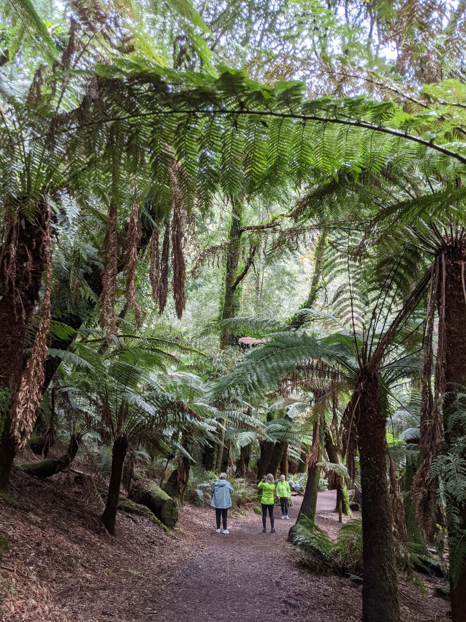 Cycling tour in Tasmania