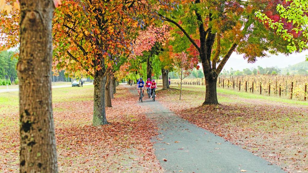 cycling the murray to mountains in autumn with tour de vines