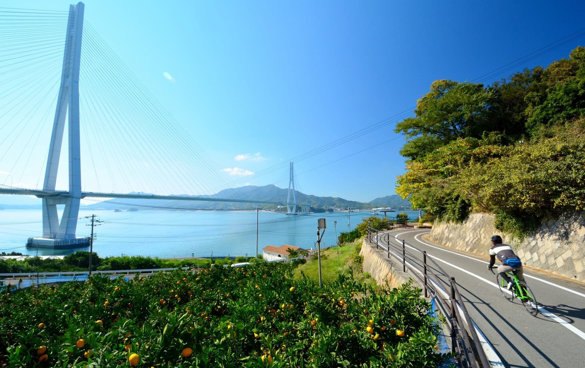shimanami kaido cycling tour japan