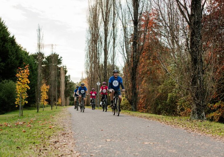 Cycling tours in Victoria