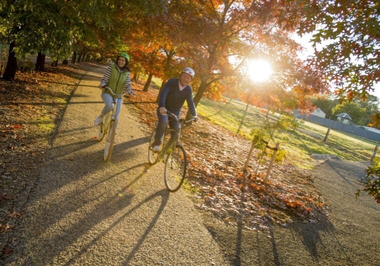 Pedal to Produce On The Murray To Mountains Rail Trail