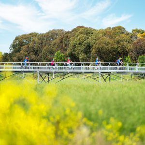 Tour De Vines cycling tours Australia