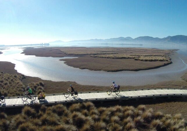 Cycling tours New Zealand Tour de Vines