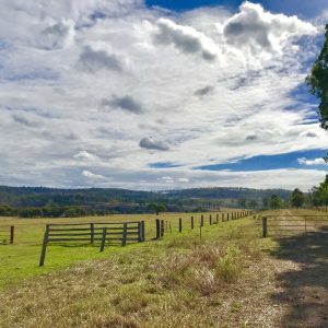 Cycling tour in Queensland