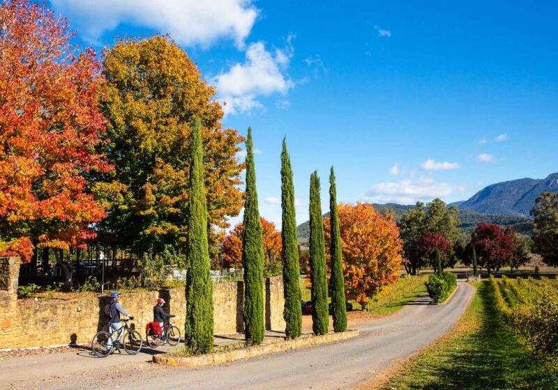 cycling tour Beechworth to Bright